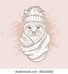  Sketch Of Elegant Dog Womans Face With Knitting Cap And Snood