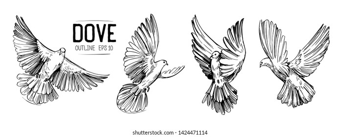 flying dove pencil drawing