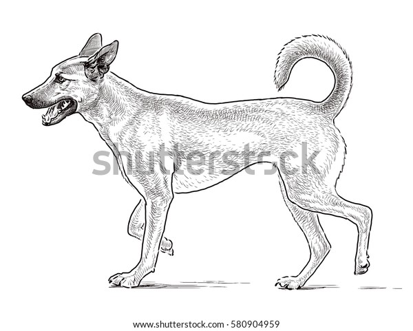 Sketch Guard Dog Stock Illustration 580904959