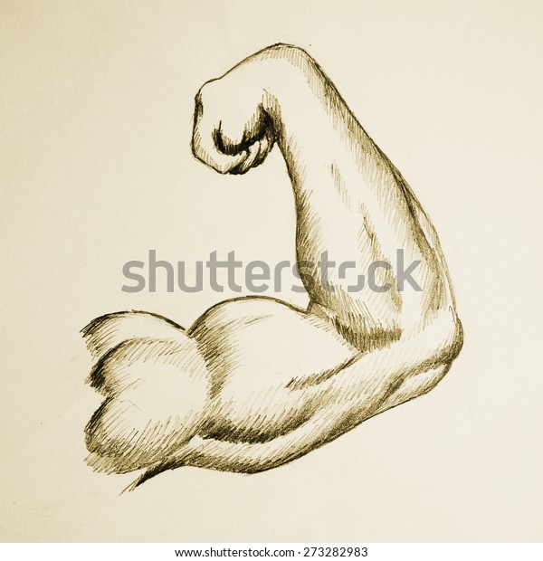 Sketch Illustration Muscular Human Male Right Stock Illustration 273282983