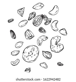
Sketch mix of different nuts and dried fruits. Hand drawn illustration of  nuts, cashews, peanuts, hazelnut, raisins, almond, banana isolated on white