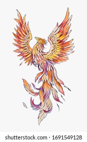 Sketch noble phoenix on a white background.