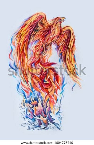 Sketch Phoenix Bird Reborn Ashes Stock Illustration