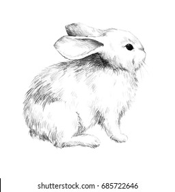 Sketch Of A Rabbit Small Furry Pet Pencil Sketch 3