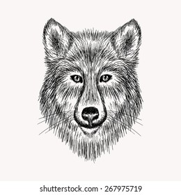 250 Psychedelic wolf Images, Stock Photos & Vectors | Shutterstock