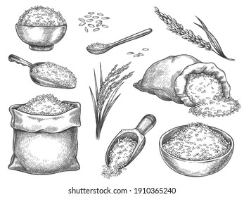 Sketch rice grains. Vintage seeds pile and farm ears. Whole basmati grain in bag, scoop and spoon. Rice porridge bowl. Hand drawn  set. Illustration healthy ingredient, meal nutrition drawing