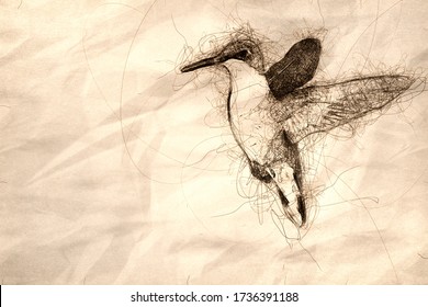 Sketch Ruby Throated Hummingbird Hovering in Flight Deep in the Green Forest
