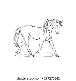 Sketch Running Horse: ภาพประกอบสต็อก 299270642 | Shutterstock