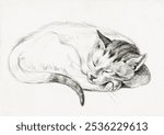 Sketch of a sleeping cat (1812) by Jean Bernard. Black and white sleeping cat animal sketch. Vintage black and white animal art drawing illustration, old painting art print of cat pet animal.