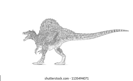 Sketch Spinosaurus Stock Illustration 1135494071 | Shutterstock