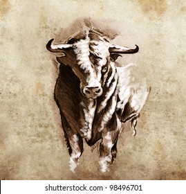 Sketch of tattoo art, spanish bull, dangerous bull with beaked horns