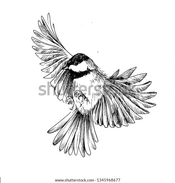 Sketch Tattoo Bird Stock Illustration