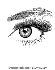 Sketches Human Eyes Stock Illustration 1129452119 | Shutterstock