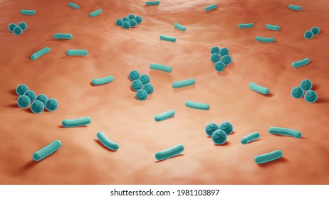 Skin Microbiome, Bacteria On The Skin Close-up 3d Illustration