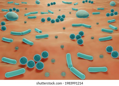 Skin Microbiome, Microbes On The Skin, 3d Illustration