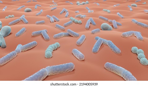 Skin Microbiome, Microbes On Skin Surface 3d Illustration