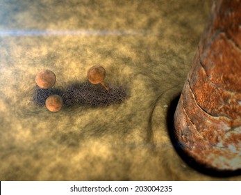Skin Under Microscope, Scanning Electron Microscope, Image Of Skin With Hair, Fungus Killing The Hair