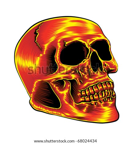 Skull