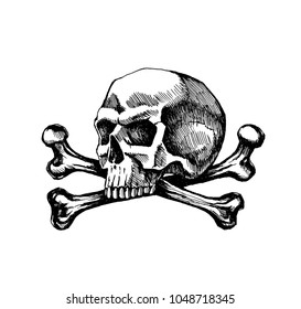 Skull Crossbones Sketch Vector Hand Drawn Stock Illustration 1048718345 ...