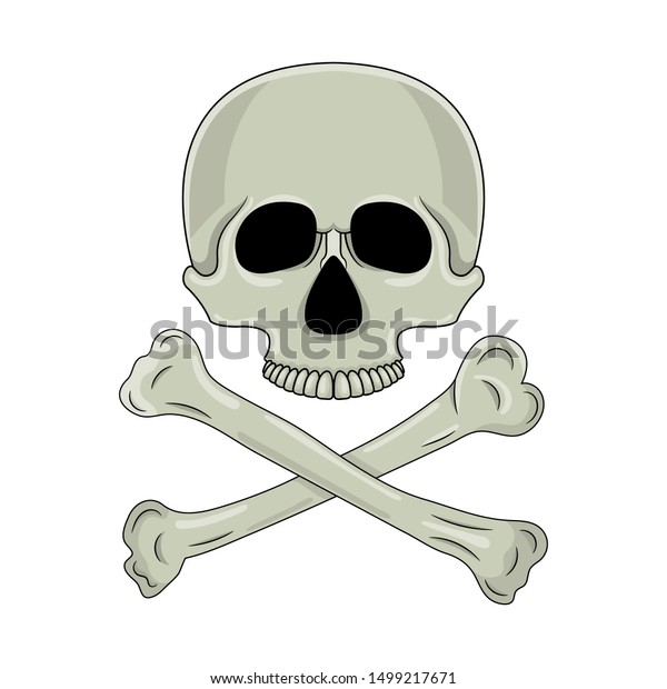 Skull Crossed Bones Isolated On White Stock Illustration 1499217671 ...