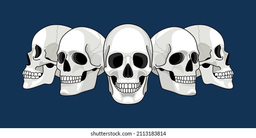 Skull Head Profile. Human Skulls Profiles Picture, Front And Side Scull Bones, Skeleton Faces, Different Sides Dead Man Heads Cartoon Drawing Illustration