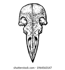 178 Skull pointilism Images, Stock Photos & Vectors | Shutterstock