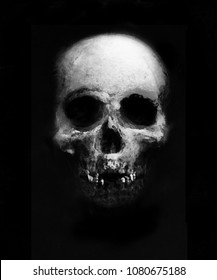 Skull Isolated On Black Background. Design For T-shirt Print With Scary Skull. Horror Spooky Wallpaper.