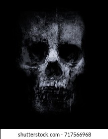 Skull Isolated On Black Background. Horror Background For Halloween Concept. Design For T-shirt Print With Skull.