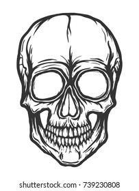 Human Skull Line Art Tattoo Sketch Stock Vector (Royalty Free) 1166062729