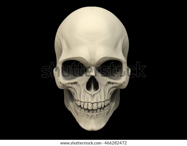 Skull On Black Background 3d Illustration Stock Illustration 466282472