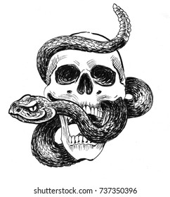 7,471 Snake skull Images, Stock Photos & Vectors | Shutterstock