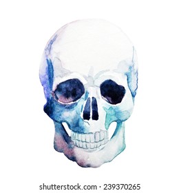 Skull, Watercolor, Element