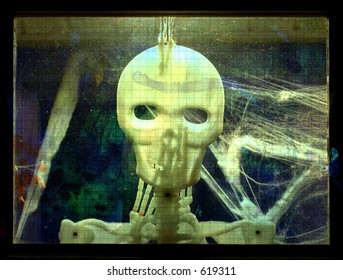 skull-2