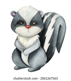 Skunk is a cute forest animal, in cartoon style, on an isolated background