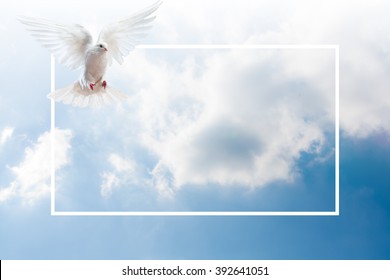 Funeral Background Hd Stock Images Shutterstock Find & download free graphic resources for background banner. https www shutterstock com image illustration sky funeral background 392641051
