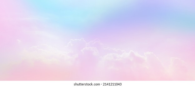 rainbow purple banner day