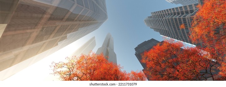 Skyscrapers In Autumn, Autumn City, Modern High-rise Buildings Against The Sky In The Rays Of The Setting Sun With An Autumn Tree In The Foreground View From Below, 3d Rendering