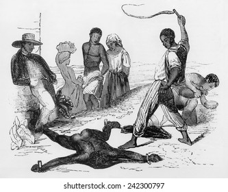 Slave Punishment In The French West Indies, In Which The Victim Was Whipped While Helplessly Bound To Four Stakes. Ca. 1840.