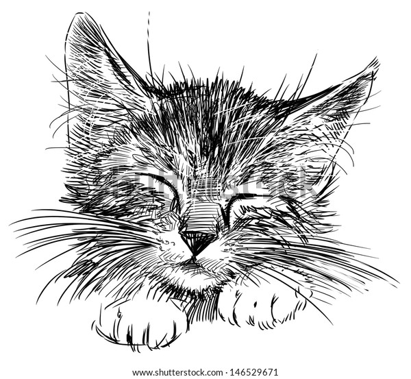  Sleeping Cat Stock Illustration 146529671