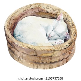 Sleeping domestic cat. Watercolor hand drawn illustration