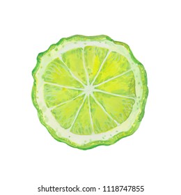 Slice Of Bergamot, Watercolor Illustration  On White Background
