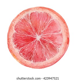 10,496 Watercolor grapefruit Images, Stock Photos & Vectors | Shutterstock