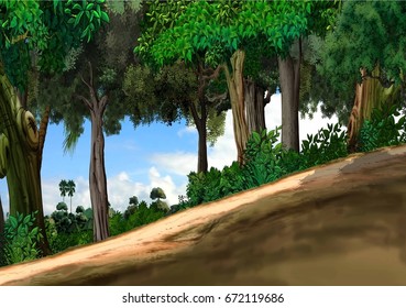 Slope in forest 