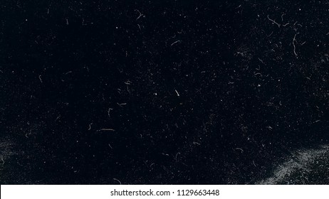 Slow motion macro shot of dust particles over black background. White dust particles moving slowly in space on black background. Abstract particle moving background. Slow motion macro dust particles