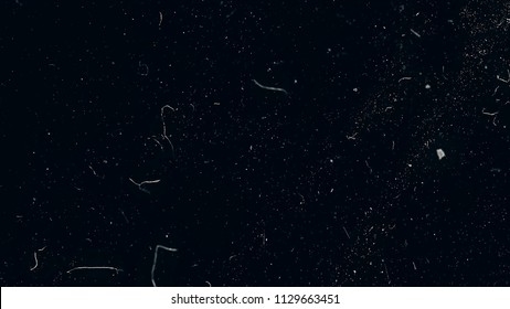Slow motion macro shot of dust particles over black background. White dust particles moving slowly in space on black background. Abstract particle moving background. Slow motion macro dust particles