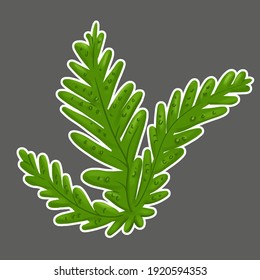 Small Bush Plant Cartoon Icon Art Illustration