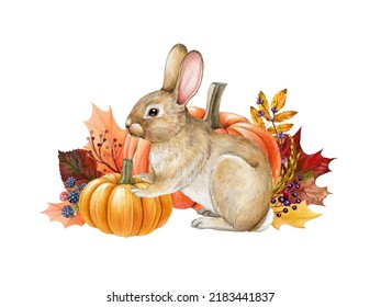 Small cute bunny with pumpkins autumn decoration. Watercolor illustration. Hand drawn cozy autumn decor with orange pumpkins, golden leaves, bunny. Rustic vintage style decor - Powered by Shutterstock