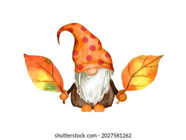 Fall themed gnomes