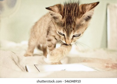 Royalty Free Stock Illustration Of Cute Kitten Playing Smartphone