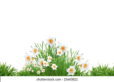 A small part of nice spring situation